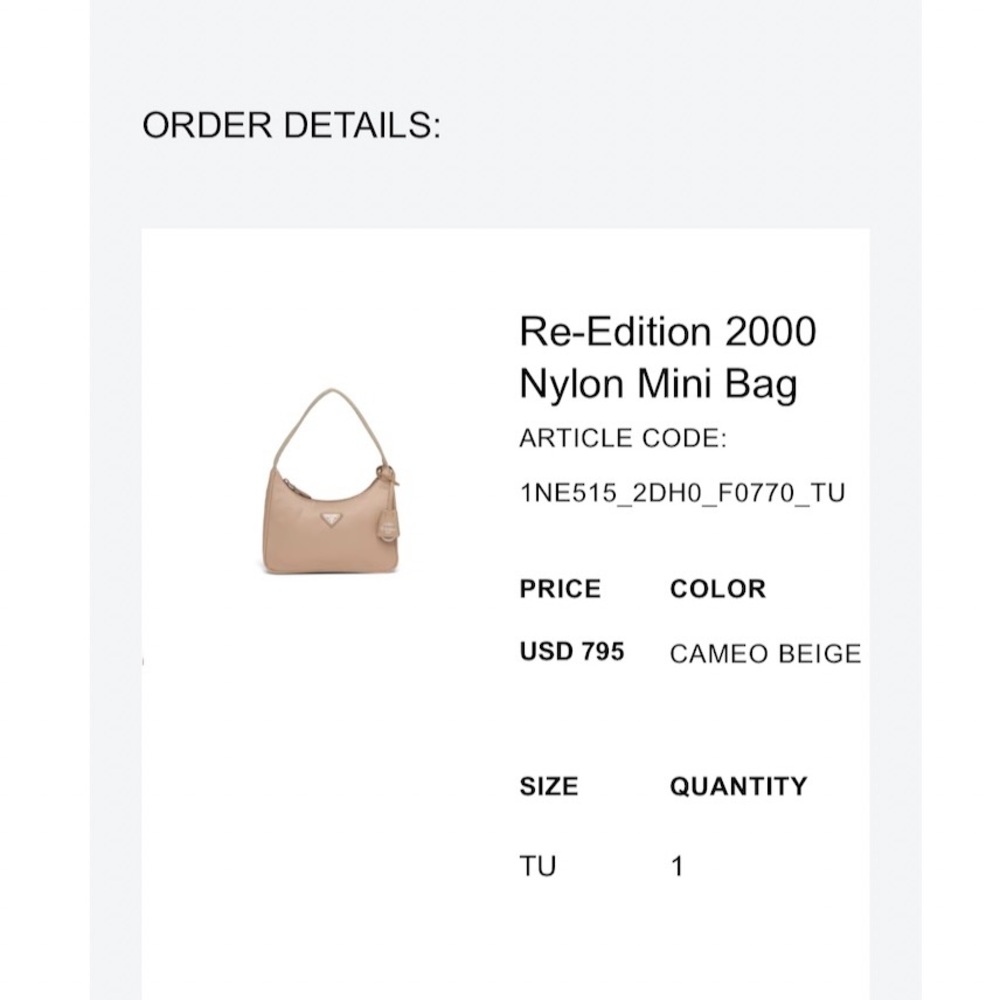 Authentic Re-Edition 2000 Nylon Mini Bag - Picture 5 of 5